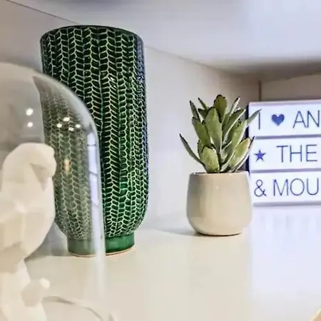 Le T3 Du Carnot Apartment Annecy